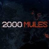 2000 MULES Q