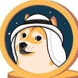 SAUDI DOGE COIN 🌴