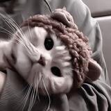 cute kitties
