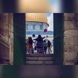 قالَ رَبِّ اجْعَلْ لي آية. 💚