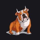 Bull Doge