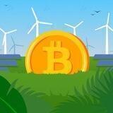Crypto Forest