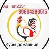 ❗️Куры на заказ❗️