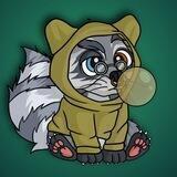 Ton Raccoon clan
