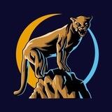 MOON COUGAR 🐆🌘