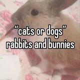 buns