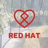 Баня REDHAT | Ереван