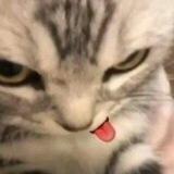 jaemin