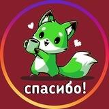 Green Fox Reviews