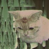 Post-Foucault