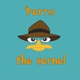 Perry The Team Channel