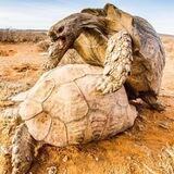 Обратная сторона юмора