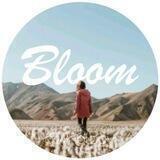 Bloom - Продолжение постов.