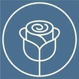Roses_in_barnaul
