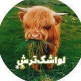 لواشک ترش^^!