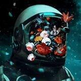 Astronaut calls Portal