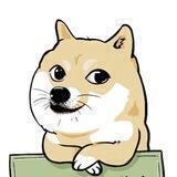 DOGE CHINA INU