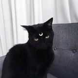 龙猫快手直播 15/20一小时