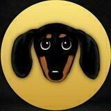 Dachshund Global community 🐶 | 0% Tax