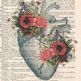 تأَمُور