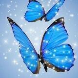 🧚‍♀️قناة عالم السعادة🧚‍♀️