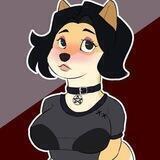 Dogina DC