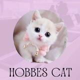 HOBBES CAT PORTAL