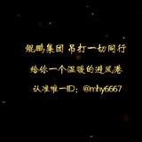 鲲鹏万里短彩信 （招大小团散户）