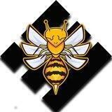 BeeUSD