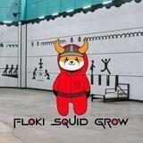 FLOKI SQUID GROW PORTAL
