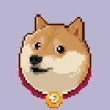 NEW COMMUNITY DOGE TOKEN CHAT