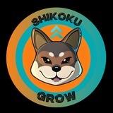 ShikokuInu Grow