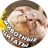 Животные цитаты/Мемы про животных