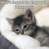 🐾🐾