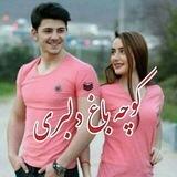 🍂ڪَِــوَِچَِهَِ بَِاَِغَِ دَِلَِبَِرَِیَِ🍂