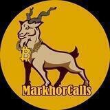 MarkhorCalls