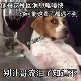 分享作弊