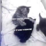 𝙏𝙊𝙆𝙔𝙊 𝘾𝙈
