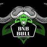 BNB Bull - Official