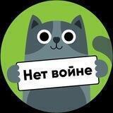 Котики против войны