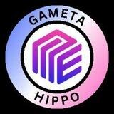 Gameta