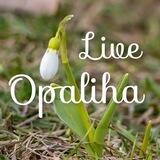 Опалиха Live