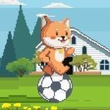世界杯竞猜平台-dogeball
