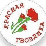 МБДОУ детский сад 36 "Красная гвоздика"