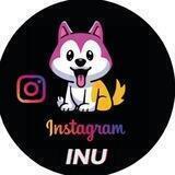 Instagram Inu