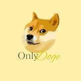 Dogechain Alpha
