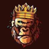 donkingkongofc