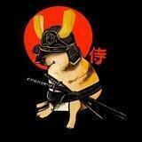 BUSHIDOGE | BSC GEM X 1000