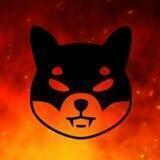 DEVIL SHIBA | PORTAL