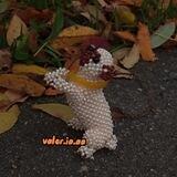 valer.ia.aa